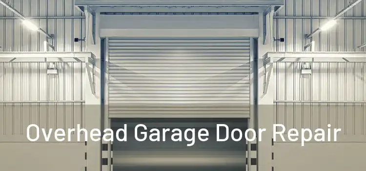  Overhead Garage Door Repair 